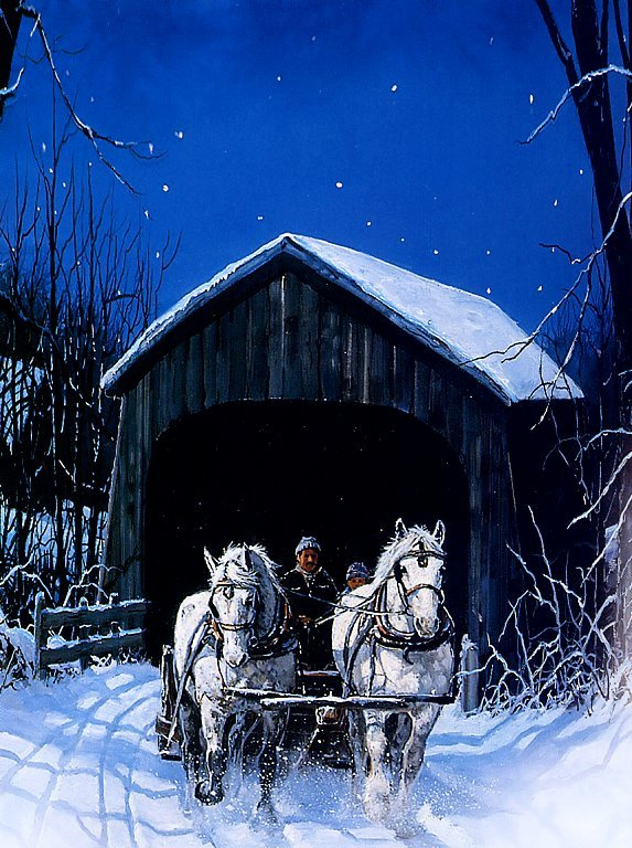 Chris Cummings. Winter night ride