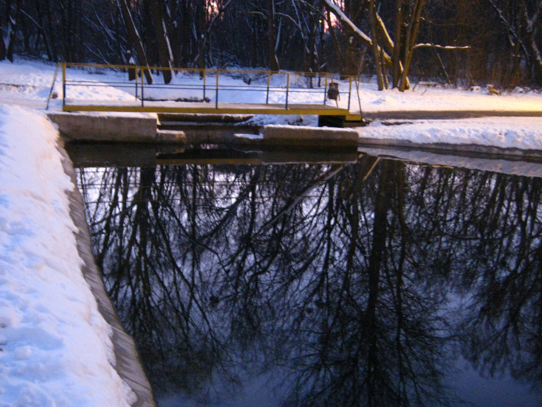 Alexey Grishankov (Alegri). "Winter pond"
