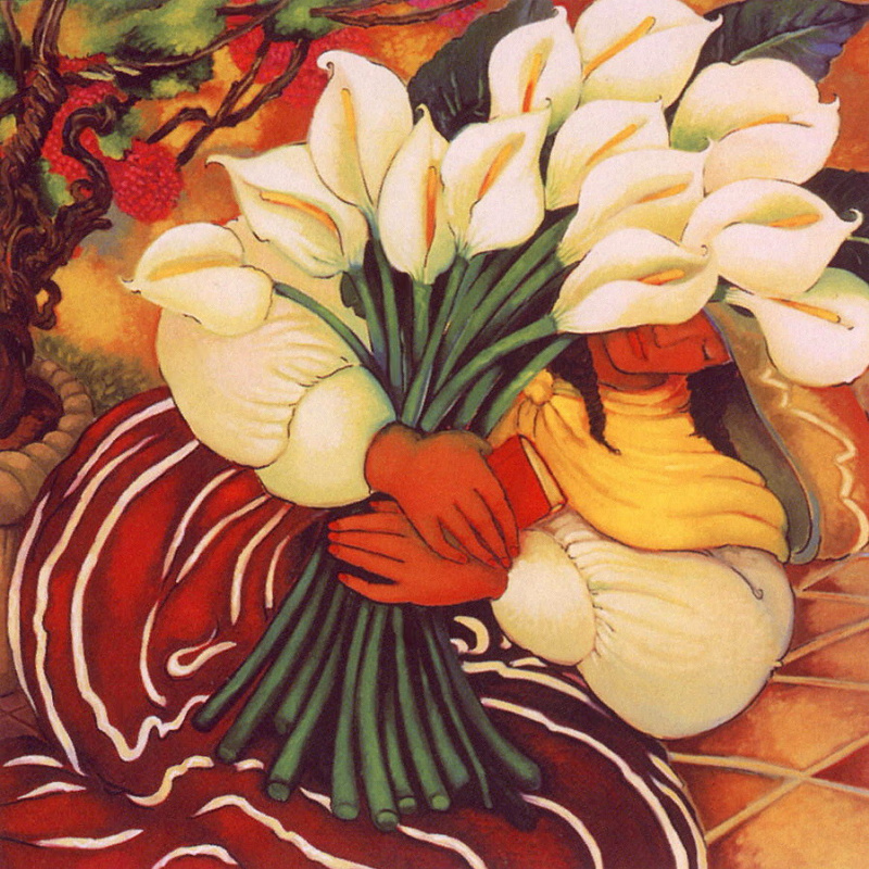 Holman Linda Carter. Calla lilies