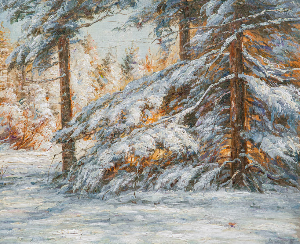 Andrzej Vlodarczyk. In a spruce forest in winter