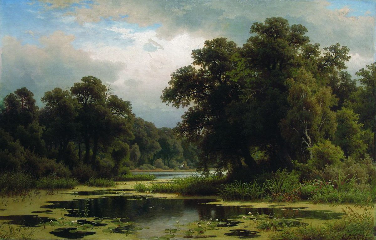 Efim Efimovich Volkov. Overgrown pond