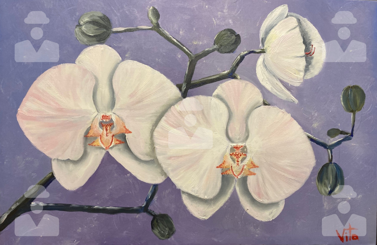 Elvira Ignatieff. Orchids