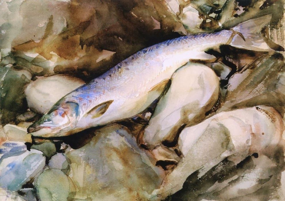 John Singer Sargent. Salmon on the rocks