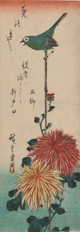 Utagawa Hiroshige. Japanese white-eye and chrysanthemum