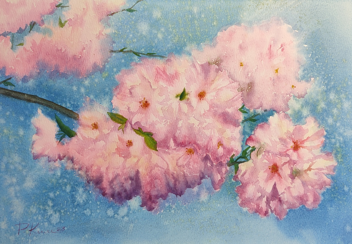Sakura