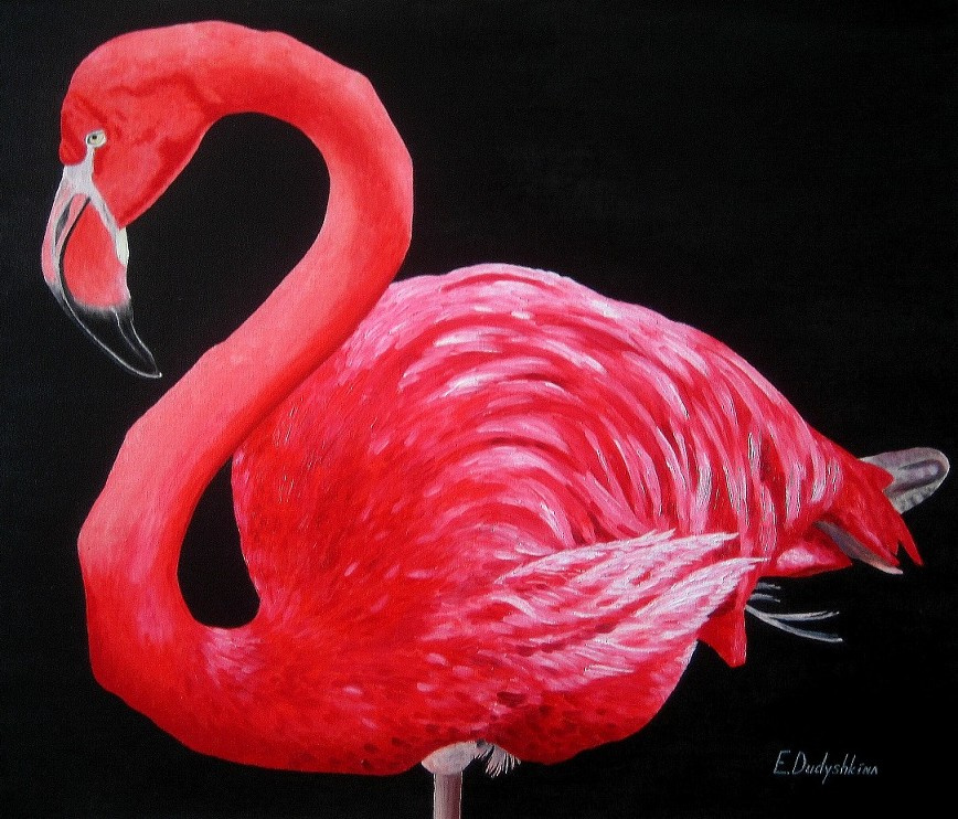 Ekaterina Sergeevna Dudyshkina. Flamingo