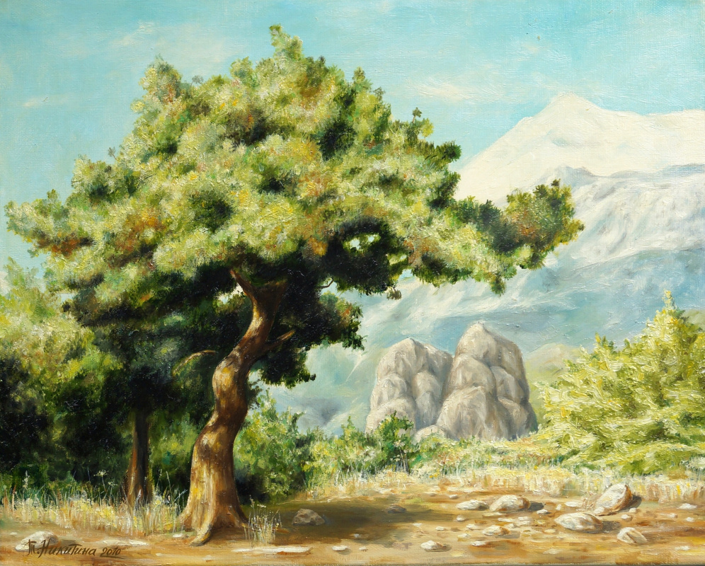 Tatiana Nikitina. Mountain pine