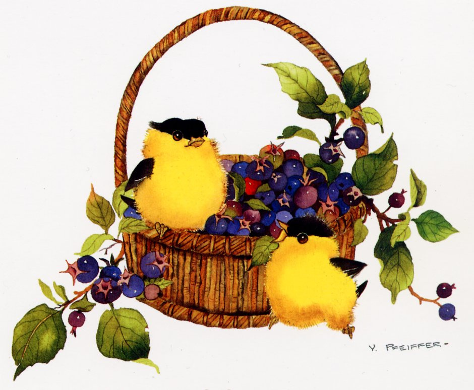 Valerie Pfeiffer. Goldfinches and berries