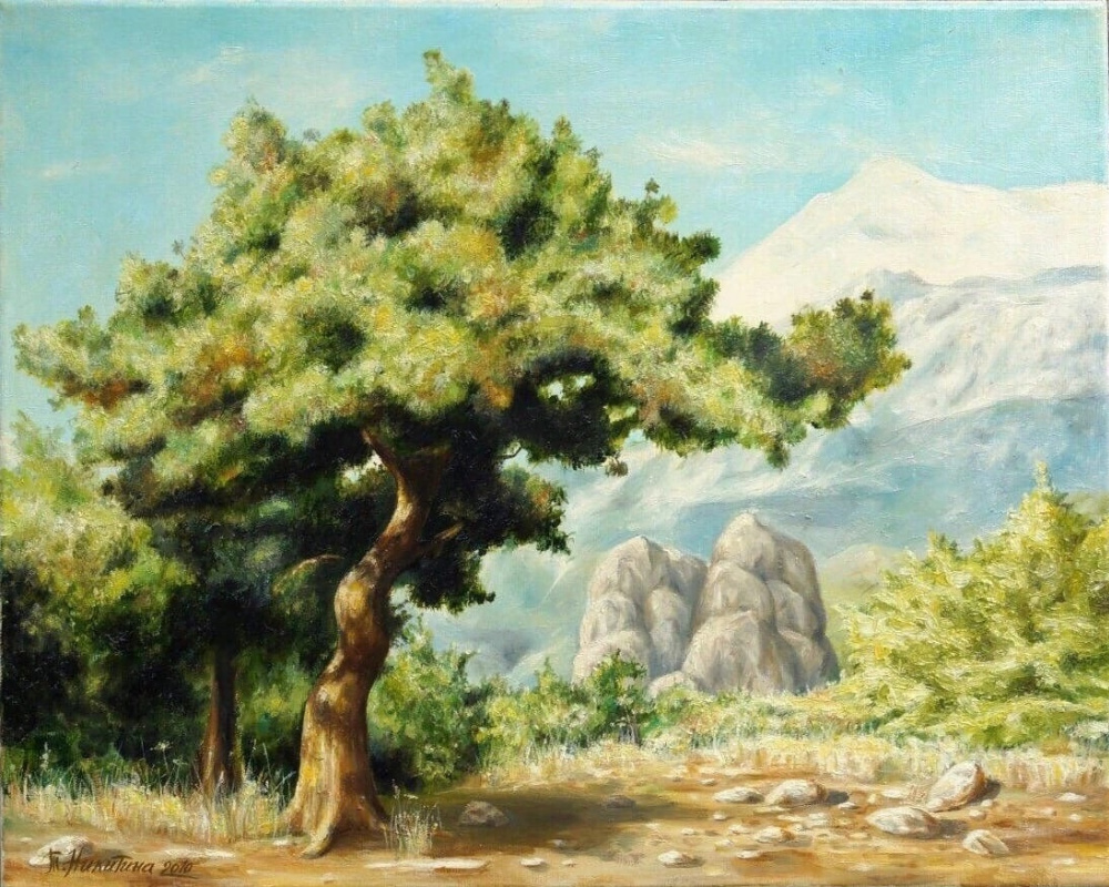 Tatiana Nikitina. Pine trees in the mountains