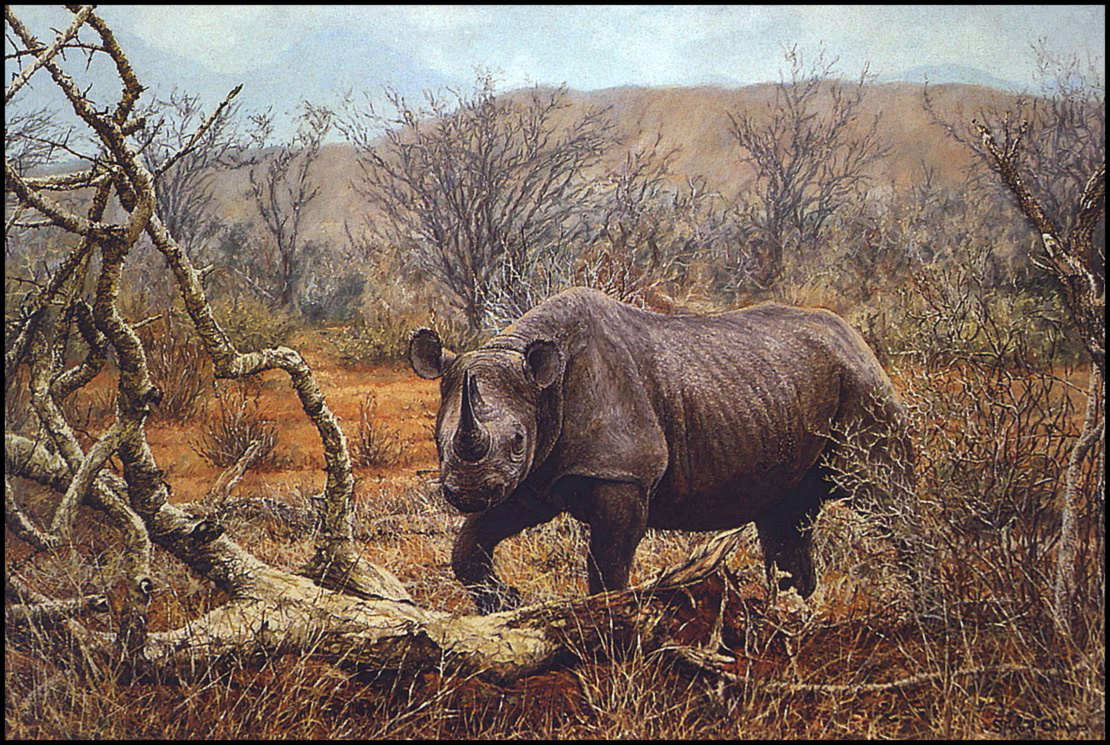Simon Comb. Rhino
