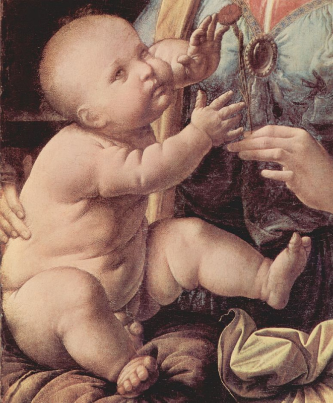Leonardo da Vinci. The Madonna of the carnation (detail)