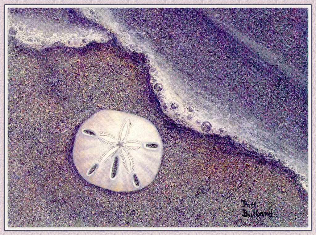 Patty Bullard. On the sand