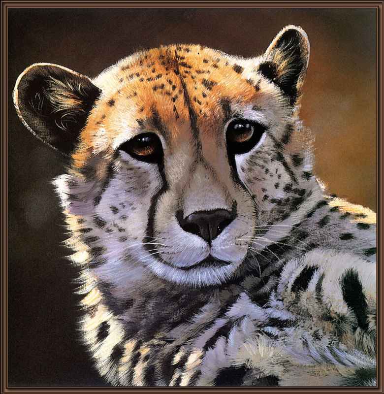 Pollyanna Pickering. Big cats 06