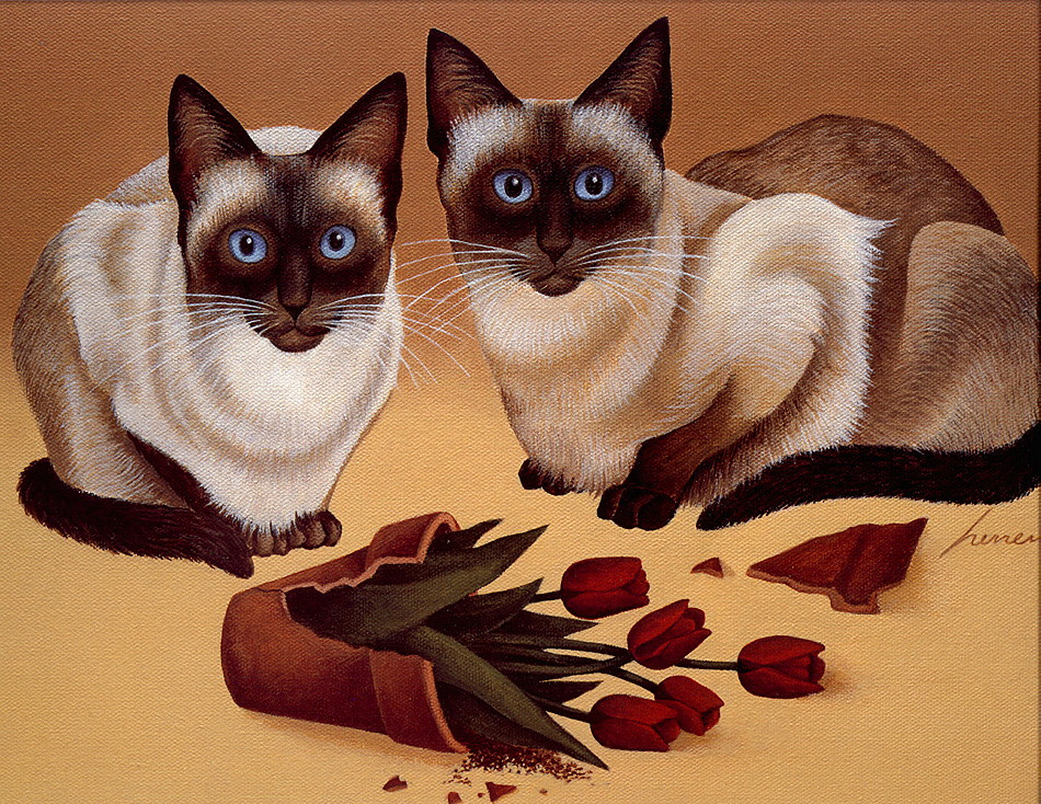 Сиамские коты рисунки - 93 фото