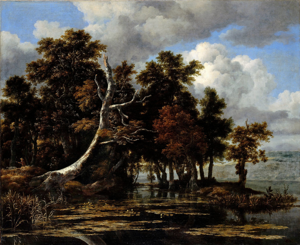 Jakob van Isaacs Ruisdael. Oaks by the lake with water lilies