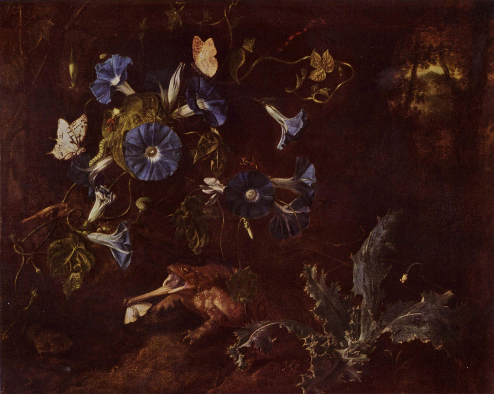 Otto Marceus van Scriec. Blue morning glories, toad, and insects
