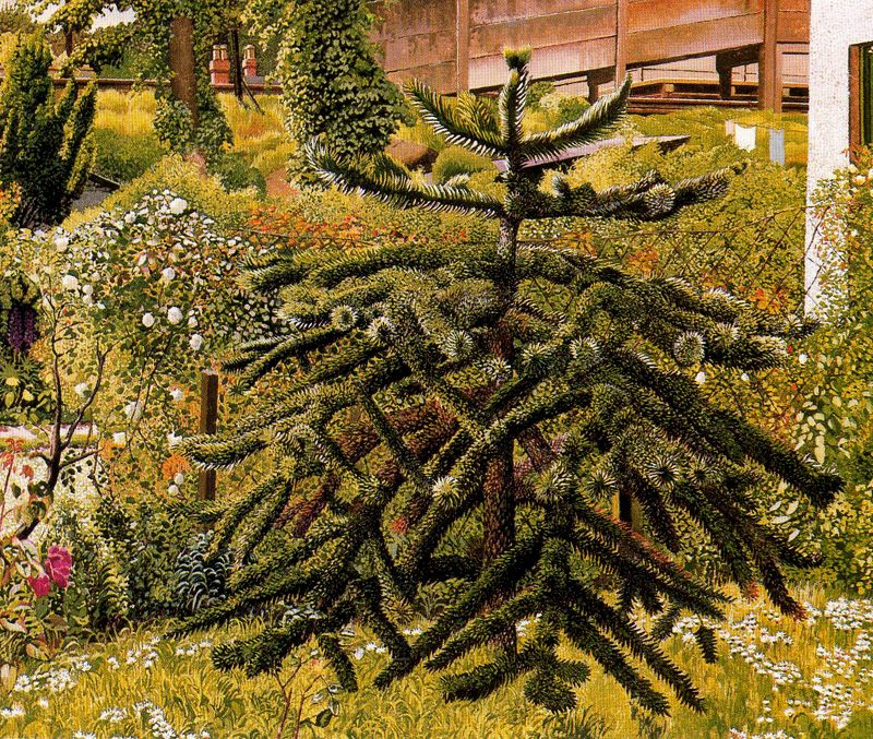 Stanley Spencer. Spruce