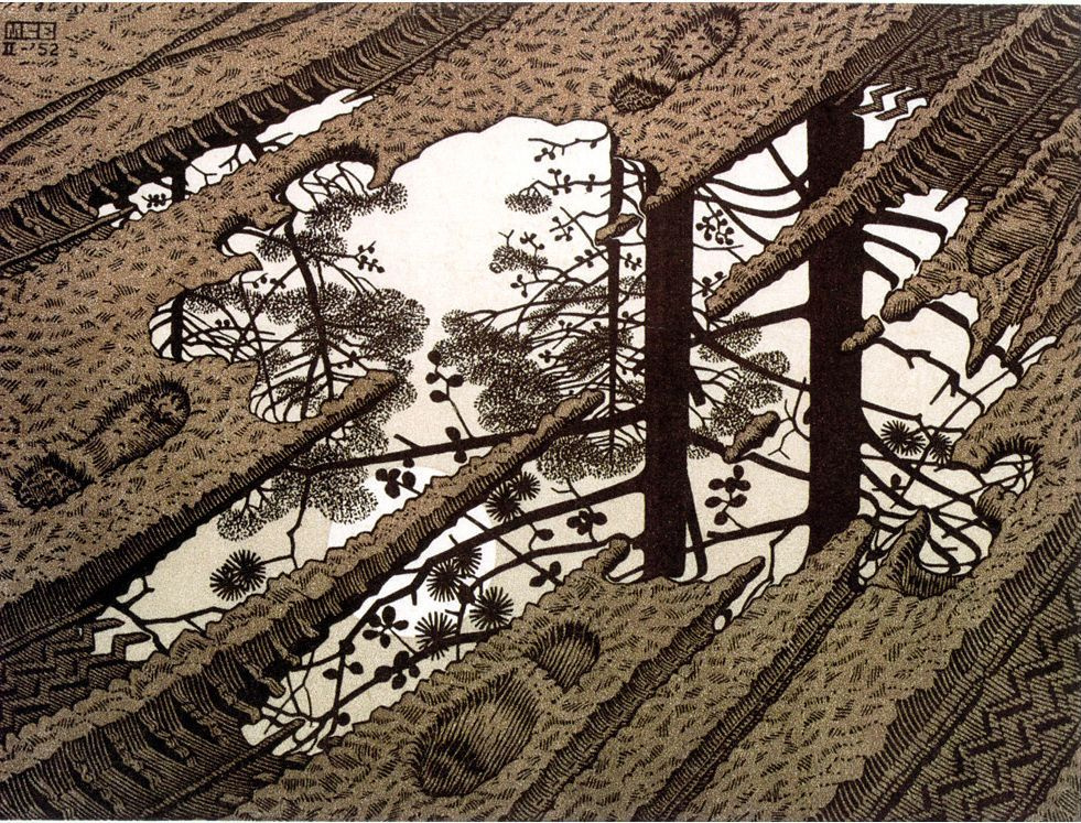 Maurits Cornelis Escher. Puddle