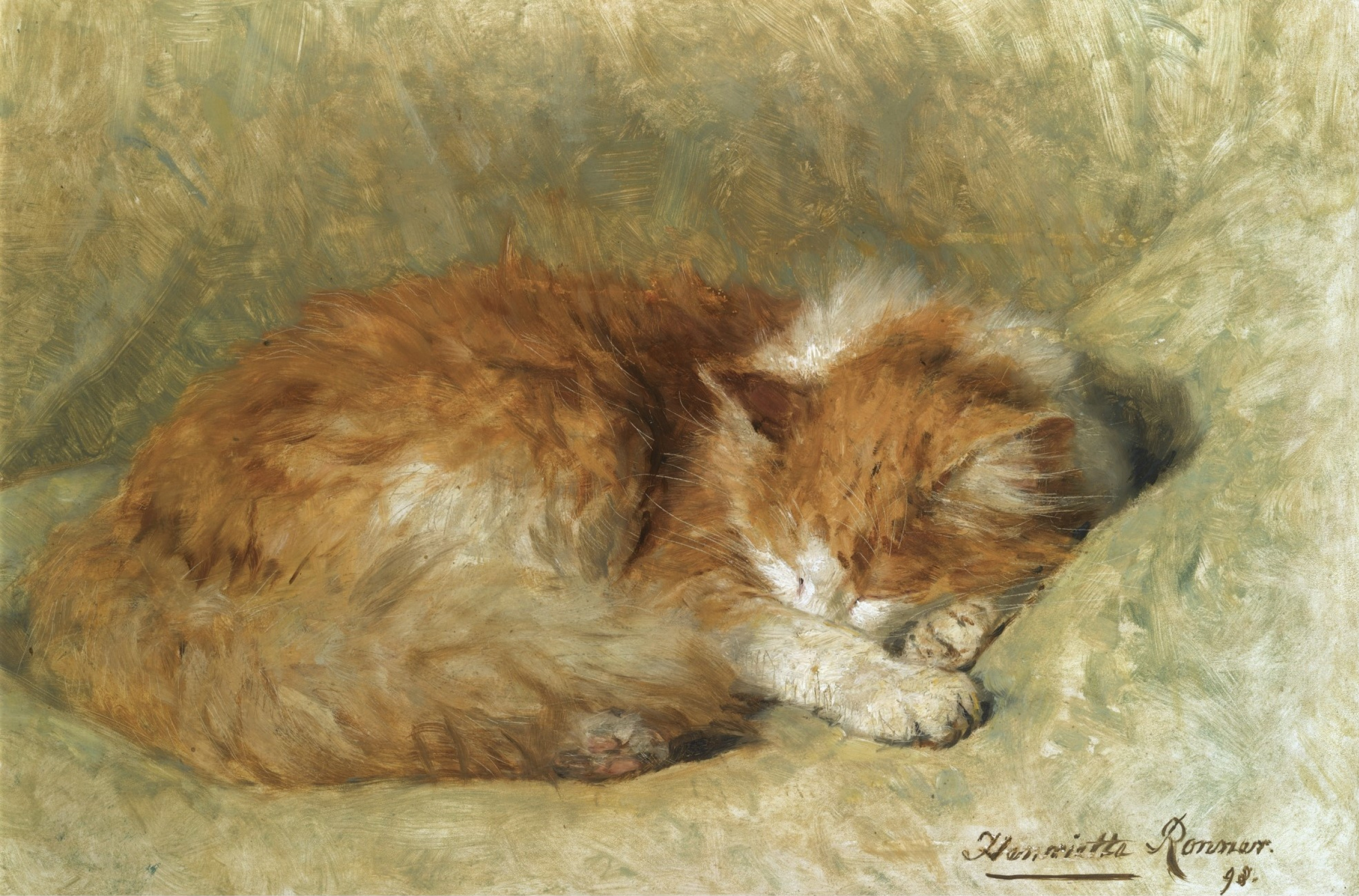 Купить цифровую версию картины: Генриетта Роннер-Книп - Спящий кот | Артхив