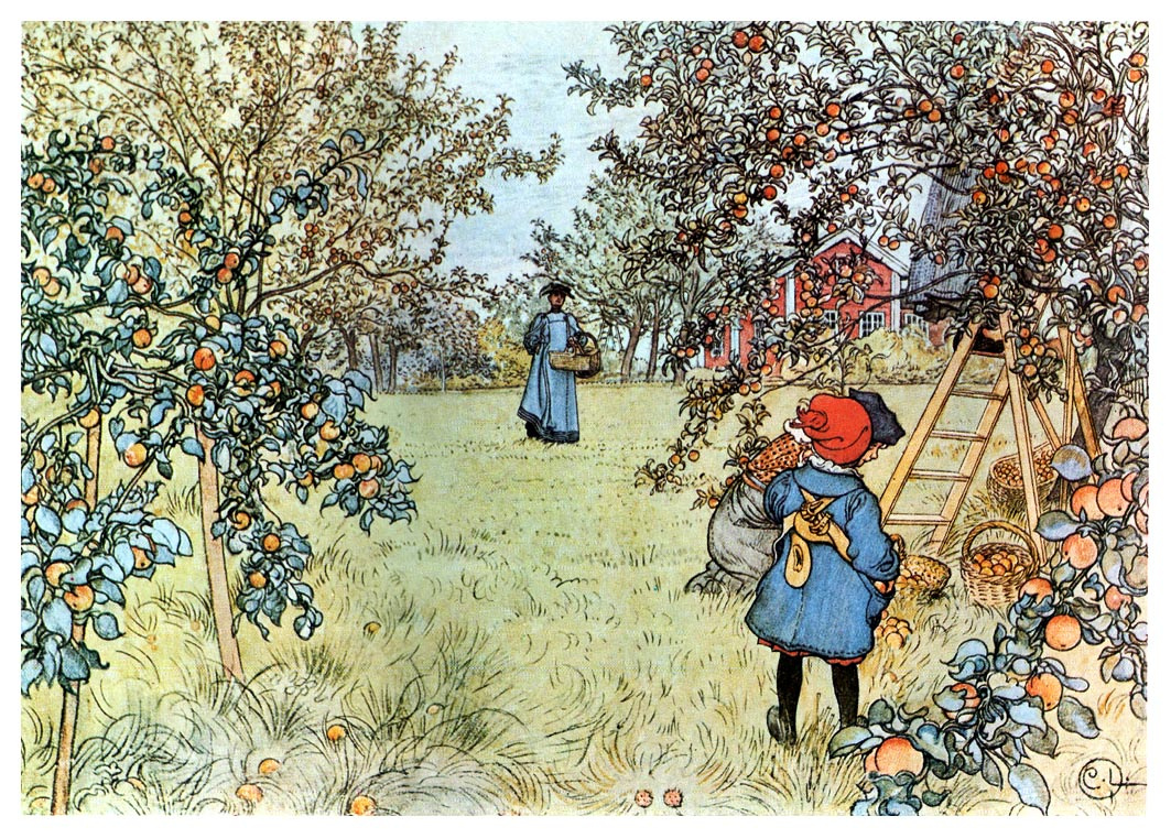 Карл Ларссон the Apple Harvest