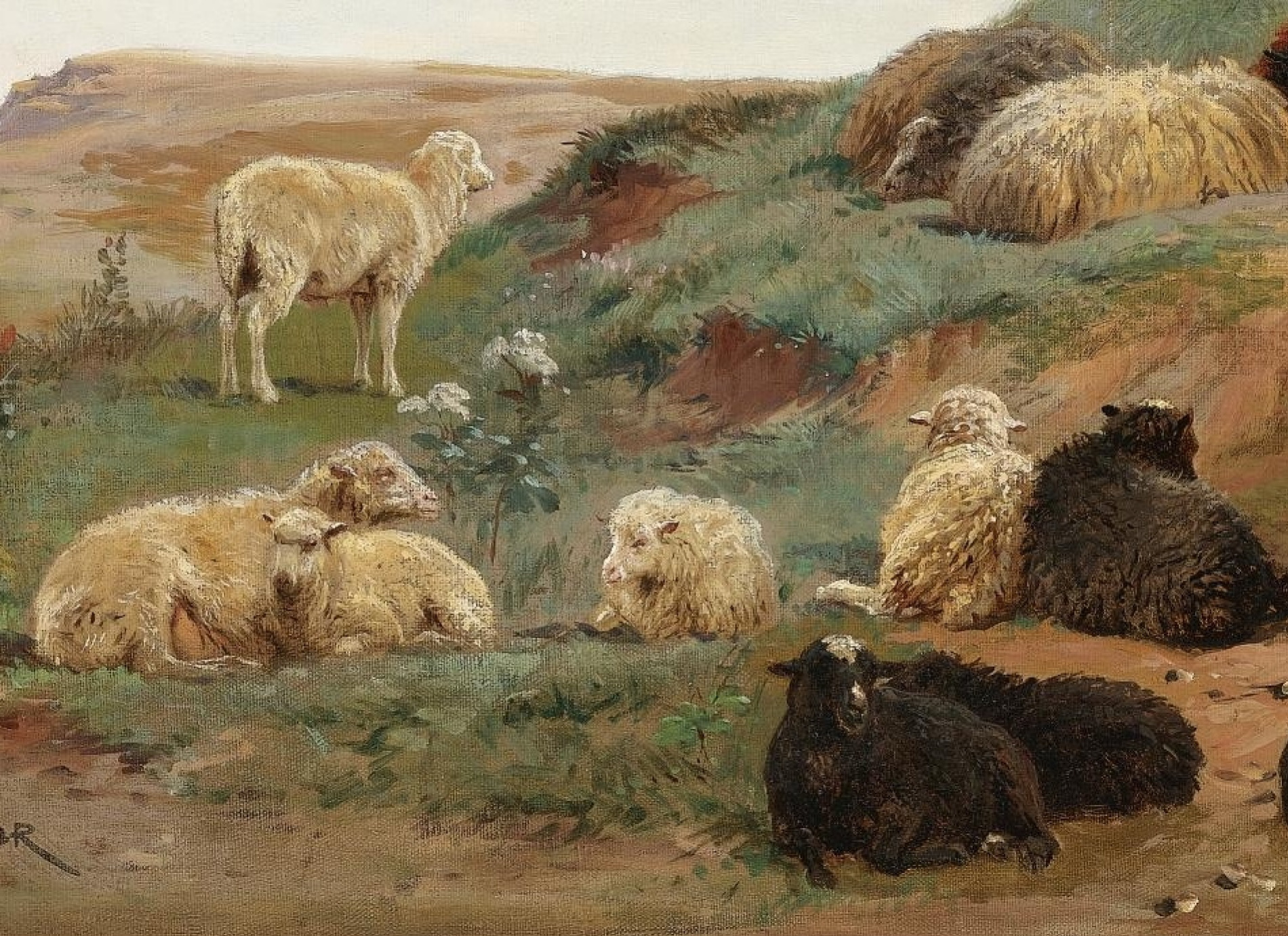 Роза Бонер - овцы в Горном пейзаже