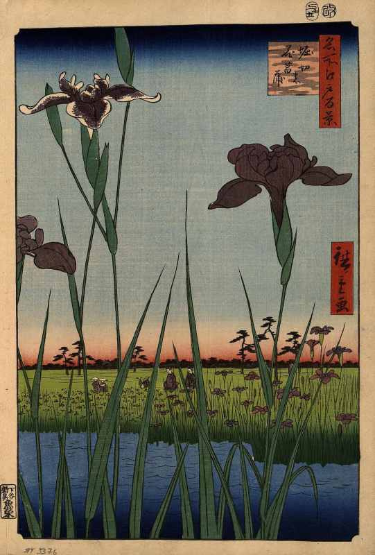 Utagawa Hiroshige. Irises in Horikiri. The series "100 famous views of Edo"