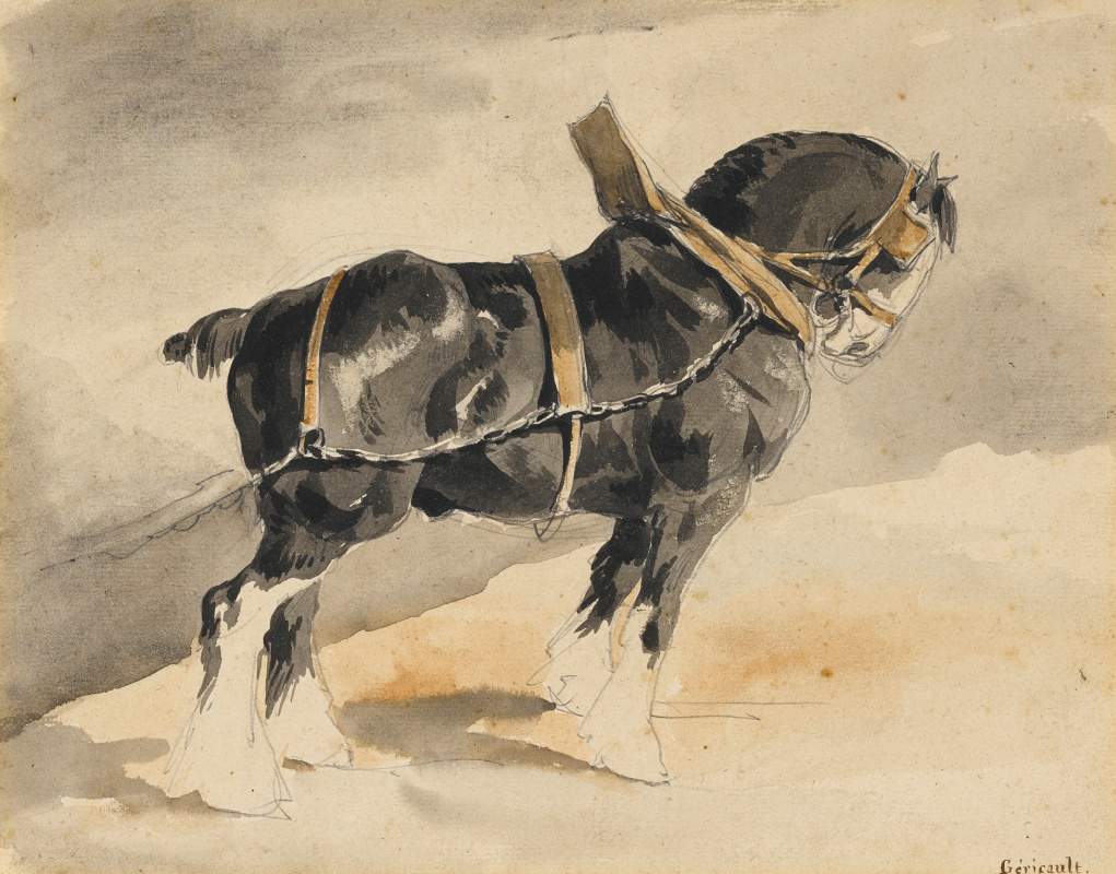 Théodore Géricault. Drawn horse