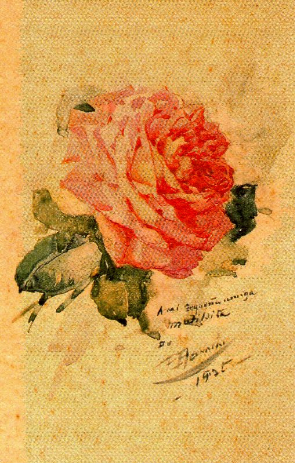 Франсиско Боннин - Красивая роза: Описание произведения | Артхив