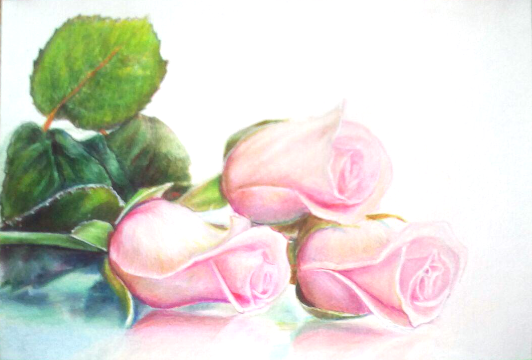 Sophie Wasilewska. Pink roses