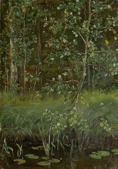 Viktor Vasnetsov. Pond in Akhtyrka. Study for the painting "Alyonushka"