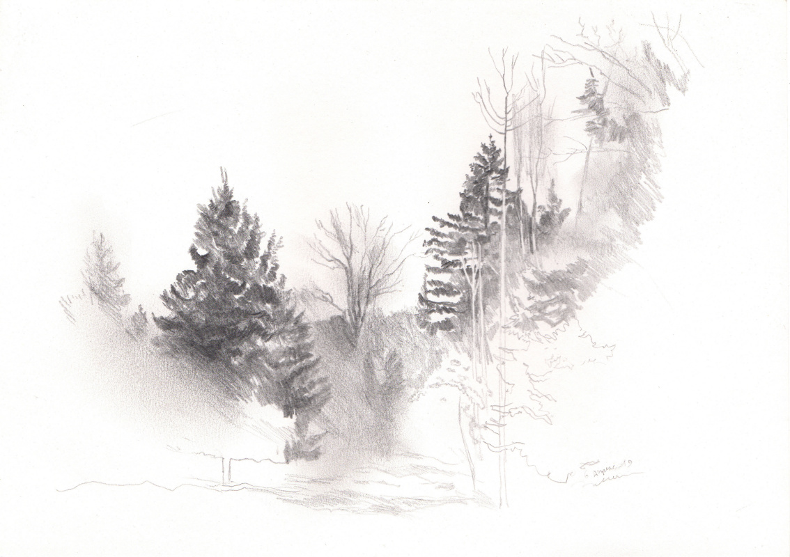 A sketch of a forest glade