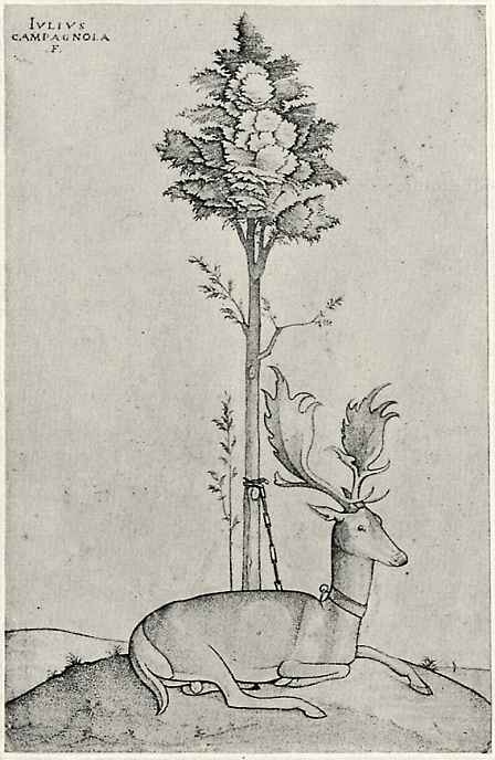 Giulio Campagnola. Lying deer tied to a tree