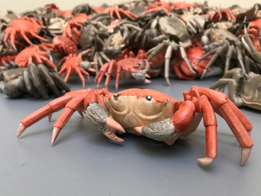 Ai Weiwei. River crabs