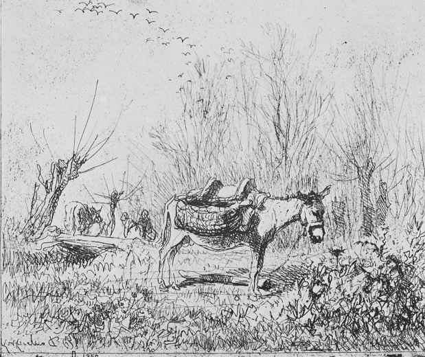 Charles-Francois Daubigny. Donkey in the meadow