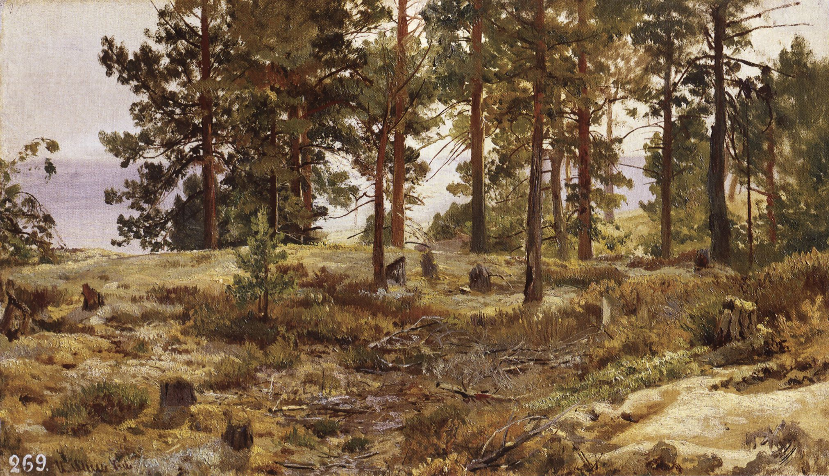 Шишкин 1889. Сосновый лес Шишкин 1889.