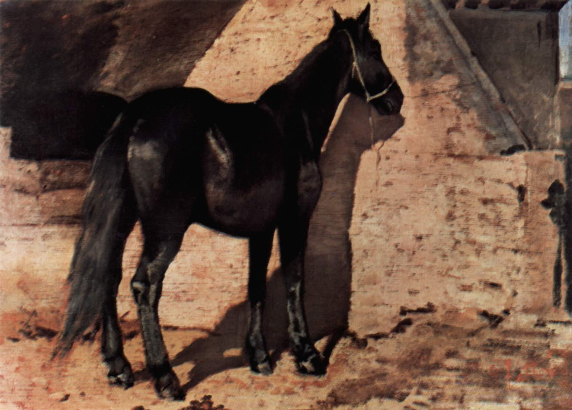 Купить цифровую версию картины: Джованни Фаттори - Чёрная лошадь на солнце  | Артхив