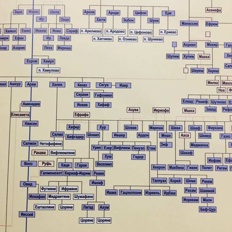 Родословие иисуса. Родословная Иисуса Христа от Адама. Родословие Марии матери Иисуса Христа. Родословие Марии матери Иисуса в Библии. Родословная Марии матери Иисуса.