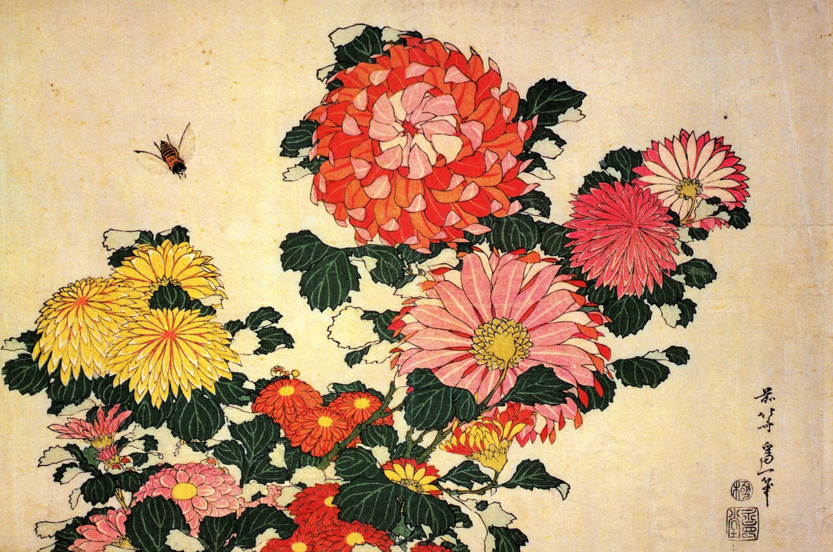 Японская гравюра Хокусай хризантемы