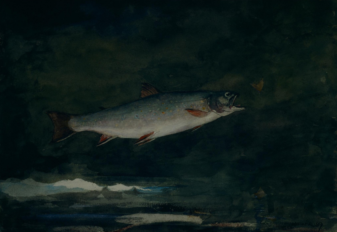 Winslow Homer. Trout