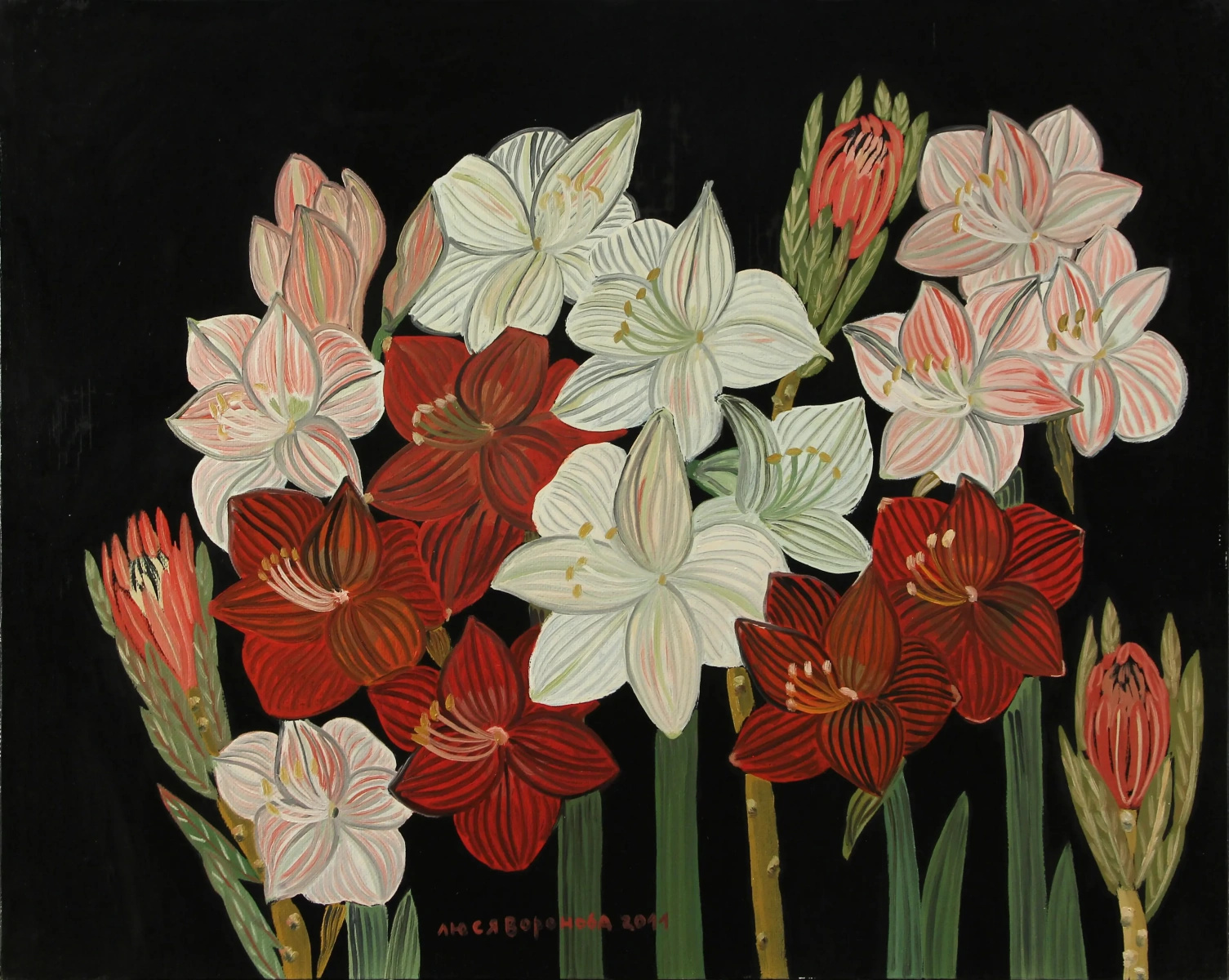 Lyudmila Vladimirovna (Lucy) Voronova. Amaryllis