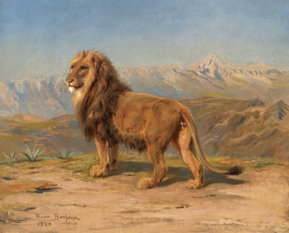 лев в горах