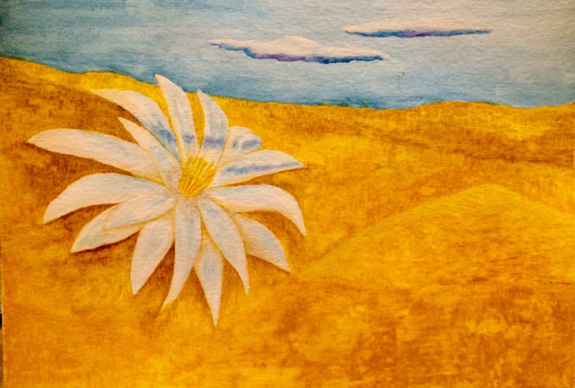 Perelygina. "A lotus flower in the desert, reflecting the sky"