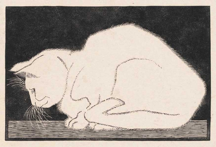Maurits Cornelis Escher. White cat