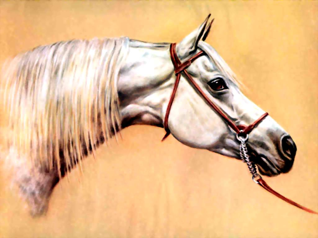 Восемь лошадей. Horse illustration. Sweeden Horse illustration.