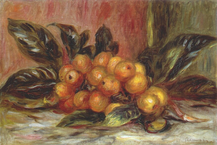 Pierre-Auguste Renoir. A branch of medlar
