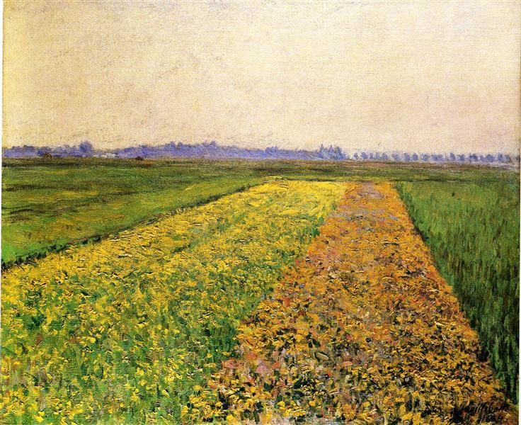 The yellow fields at Gennevilliers