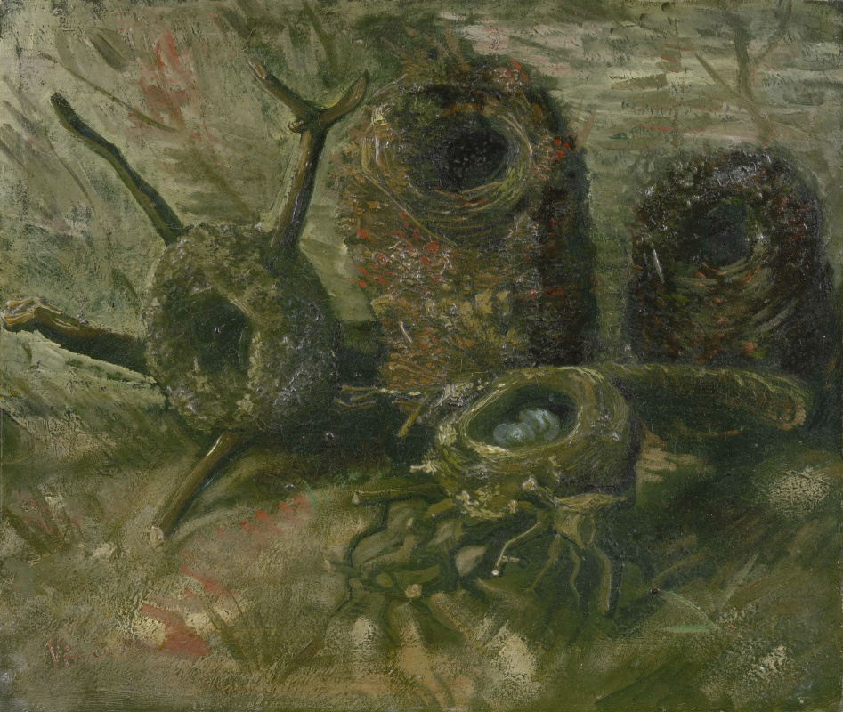 Vincent van Gogh. Bird's nest