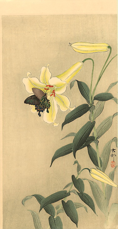Ohara Koson. Butterfly