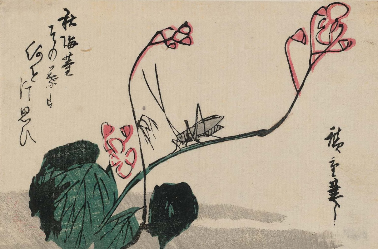 Utagawa Hiroshige. Grasshopper and begonia