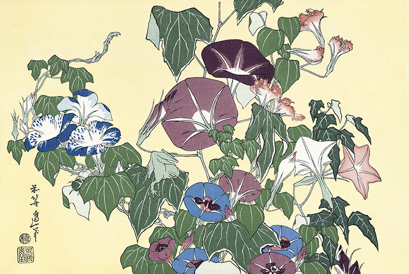Katsushika Hokusai. Morning Glories and Tree-frog